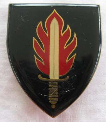 SHOULDER FLASH - INTELLIGENCE SCHOOL - 3 PINS - ORIGINAL