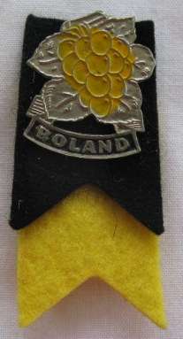 BOLAND RUGBY LAPEL PIN - 1960'S - 70'S