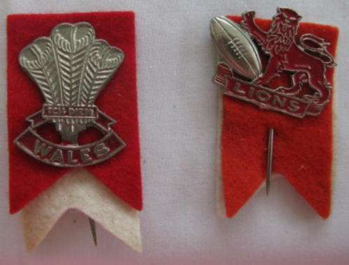 WALES AND LIONS RUGBY LAPEL PINS