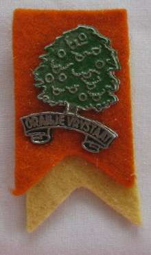 ORANJE VRYSTAAT RUGBY LAPEL PIN 1960'S - 70'S