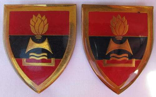 SHOULDER FLASH - 2 FIELD ENGINEER REGT. GOLD TYPE -  PINS INTACT - ORIGINAL