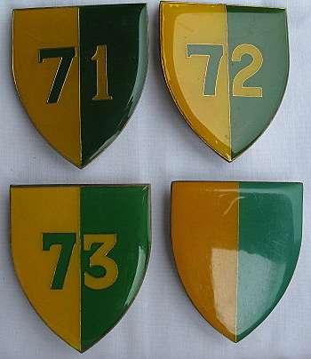 SHOULDER FLASH - 7 / 71 / 72 & 73 MOTORISED BRIGADE - PINS INTACT- ORIGINAL