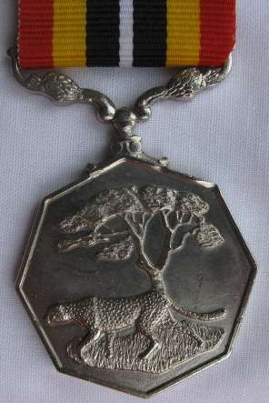 SOUTHERN AFRICA MEDAL FULL SIZE - NUMBERED