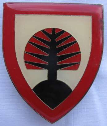 SHOULDER FLASH - WONDERBOOM MILITARY BASE - 3 PINS ONE REPLACED - ORIGINAL