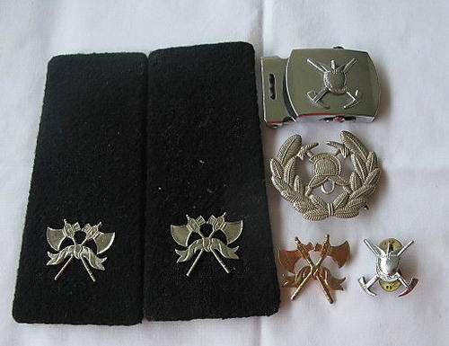 SELECTION OF SA FIRE BRIGADE BADGES, RANK AND BELT BUCKLE