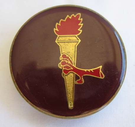 44 PARACHUTE BRIGADE PATH FINDER FLASH - 2 PINS