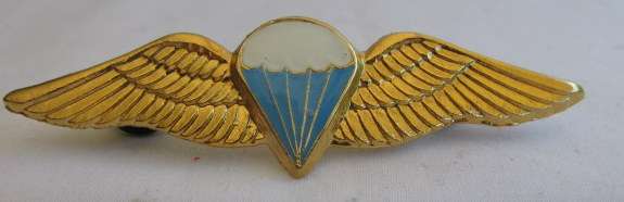 SA PARACHUTE BASIC PARATROOPER WING - 8 JUMPS OR MORE - GILDING METAL WITH LUCITE COATED ENAMEL CENT