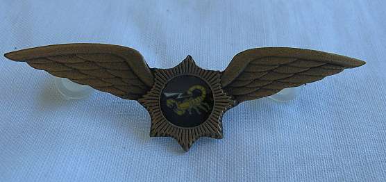 C1 VLAKPLAAS WINGS - 2 PINS