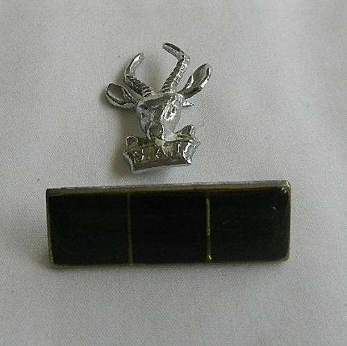 SA INFANTRY CORPS BERET BADGE AND 3RD PATTERN BAR - PINS COMPLETE