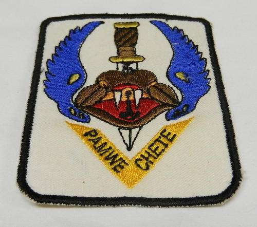 5 RECCE REGT. PAMWE CHETE TRACKSUIT BADGE - REPLICA