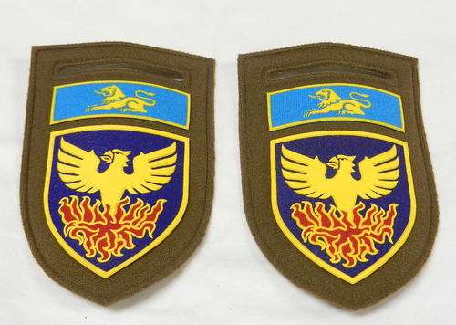 ERMELO COMMANDO TUPPER FLASH PAIR - PINS INTACT