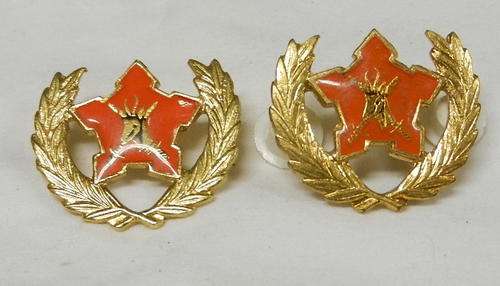 ARMY BREAST BADGE FOR CITIZEN FORCE, COMMANDOS AND VOLUNTEERS FOR 5 YEARS SERVICE - PINS INTACT - 2