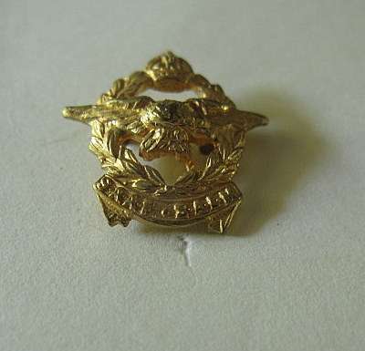 SAAF GILT OFFICERS MESS DRESS COLLAR BADGE