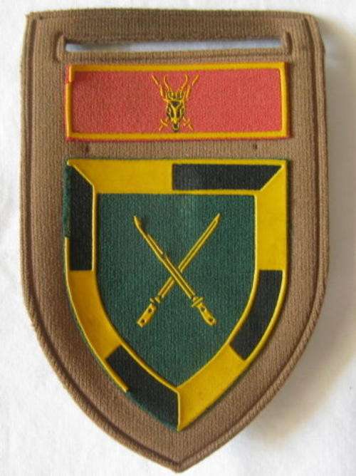 SA INFANTRY SCHOOL TUPPER FLASH - ONE PIN
