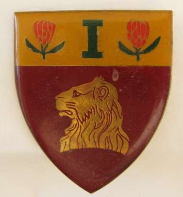 1 REGIMENT DE LA REY FLASH - 2 PINS - ORIGINAL