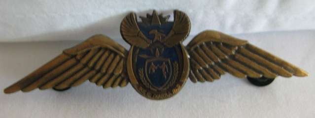 SAAF PILOTS WING IN BRONZE FOR 100 AND MORE FLYING HOURS - 2 PINS