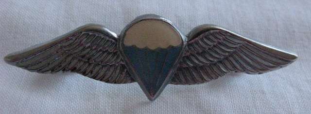 SA PARACHUTE DISPATCHER OR 50 JUMPS OR MORE CHROMED AND LUCITE COVERED ENAMELLED FULL SIZE WING - WO