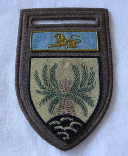 4 SA INFANTRY TUPPER FLASH - ORIGINAL - PIN MISSING