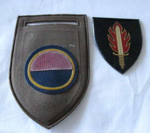 INTELLIGENCE SCHOOL SHOULDER FLASH (NO PINS) AND TUPPER C SQUADRON FLASH - ONE PIN