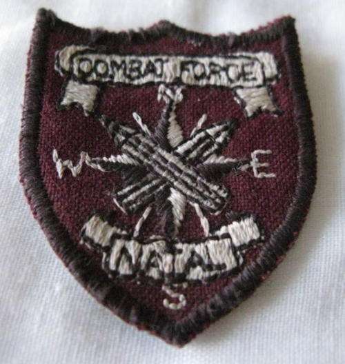 COMBAT FORCE NATAL CLOTH BADGE MEASURES 40 X 48MM