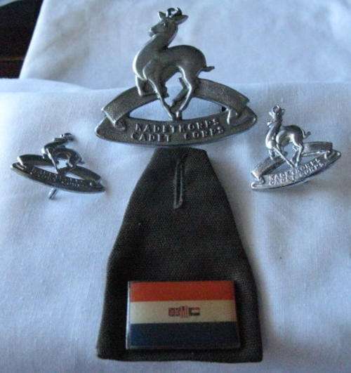 SA SCHOOL CADETS WHITE METAL CAP, COLLARS AND FOB BADGE - LUGS INTACT