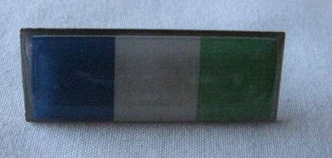 SA CORPS OF SIGNALS 3RD TYPE BERET BAR WITH LUCITE COATING - 2 PINS