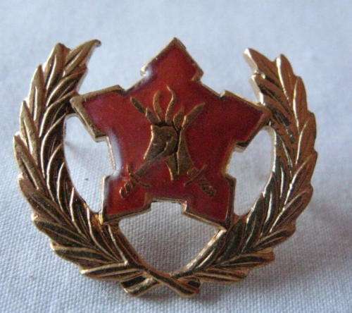 ARMY BREAST BADGE FOR CITIZEN FORCE COMMANDO'S AND VOLUNTEERS FOR 5 YEAR SERVICE - PINS INTACT