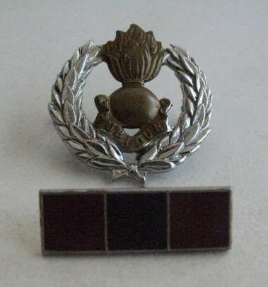 SA ENGINEERS CORPS BI-METAL CAP BADGE WITH BERET BAR - WORN SINCE 1970 - PINS & LUGS INTACT