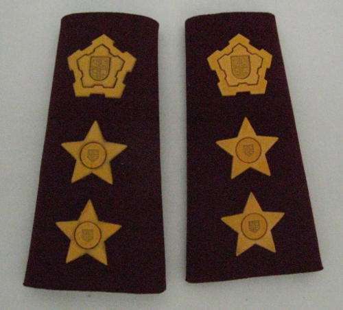 SA MEDICAL SERVICES TUPPER RANK BOARDS PAIR FOR COLONEL