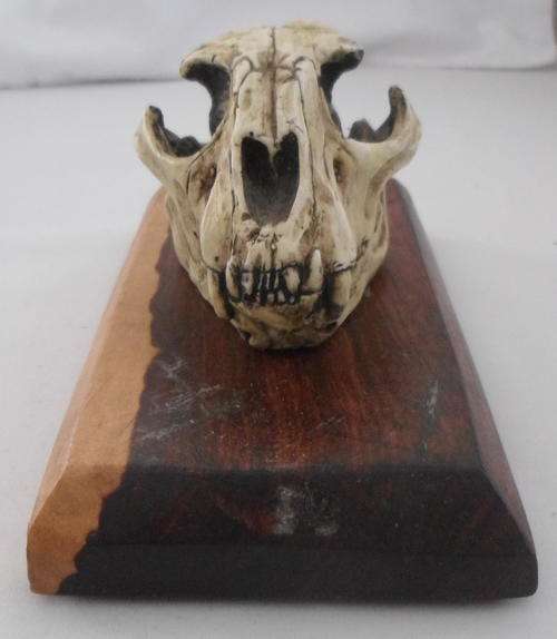 CHEETAH SKULL BY TONY FREDRIKSSON NO 98 ON WOODEN BASE - LIMITED EDITION - BASE MEASURES 14 X 7CM