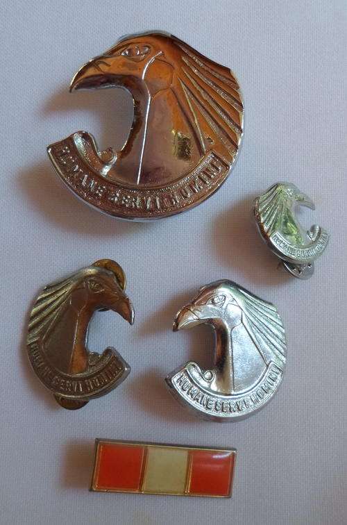 SA PERSONNEL SERVICES CORPS CAP,COLLAR PAIR & ONE MESS DRESS WITH BERET BAR-ONE PIN MISSING