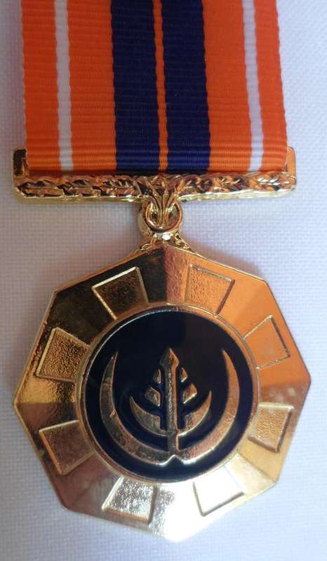 FULL SIZE PRO PATRIA MEDAL NUMBERED
