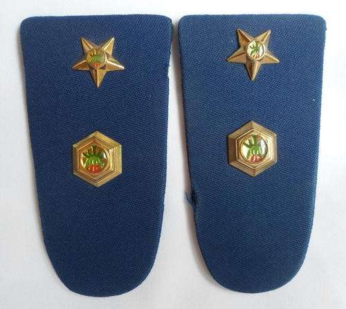 SAP RANK BOARDS