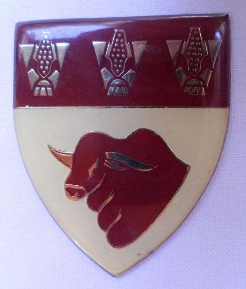 HOOPSTAD COMMANDO SHOULDER FLASH-NO PINS
