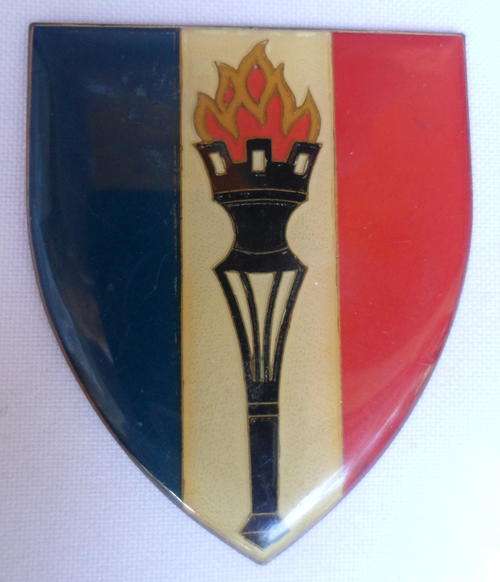 KRYGSBEHOEFTE SKOOL SHOULDER FLASH-NO PINS