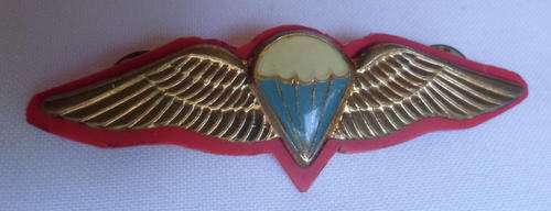 SA PARACHUTE BASIC PARATROOPER WING,8JUMPS OR MORE,GILDING METAL WITH LUCITE COVERED CENTRE -2 PINS-