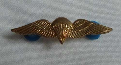 SA PARACHUTE BASIC GILDING METAL,MESS DRESS WING-WORN FROM THE 1970'S- 2 PINS