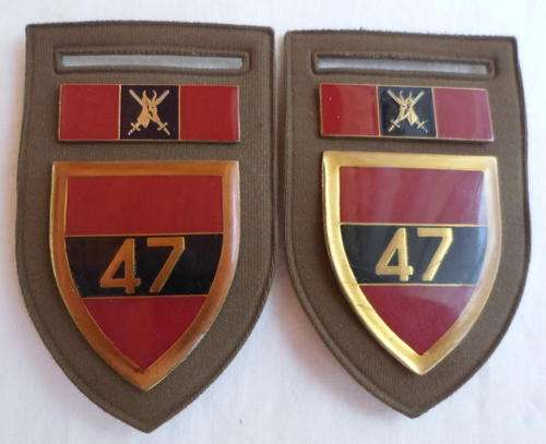 47 SURVEY SQUADRON PAIR OF MATCHING FLASHES,WITH COMMAND BARS