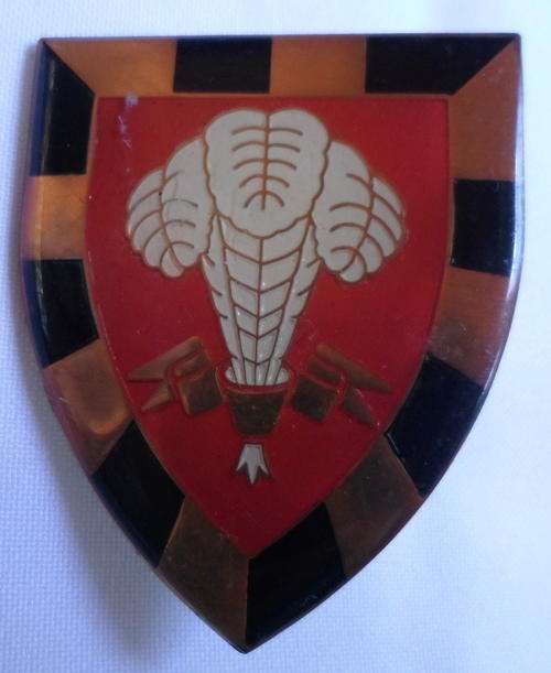1ST SA INFANTRY BATTALION FLASH-ORIGINAL