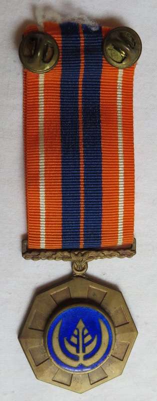 FULL SIZE PRO PATRIA MEDAL 3RD TYPE ,SINGLE STRIKING WITH MATT FINISH