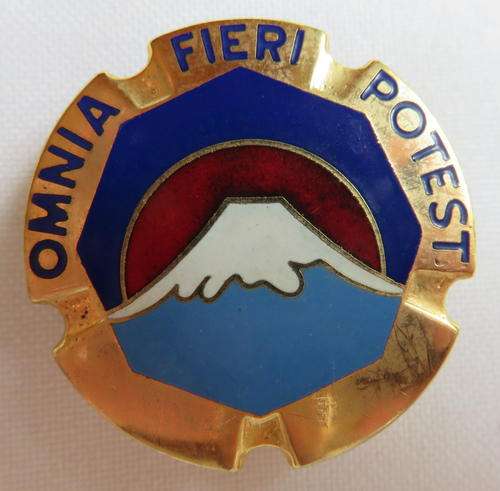US ENAMEL & GILT IDENTIFICATION BADGE- 2 PINS