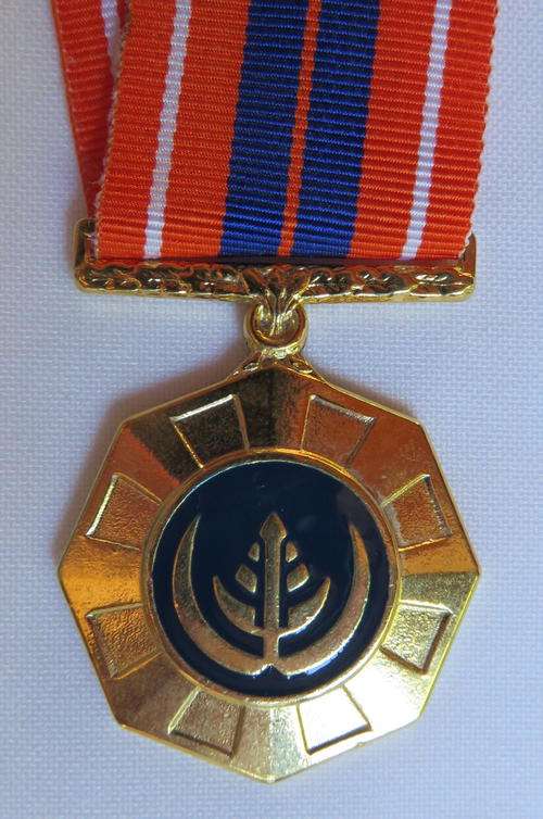 FULL SIZE PRO PATRIA MEDAL-NUMBERED AT BACK-FLUSH EPOXY