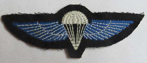 RECCE-HUNTER GROUP CLOTH PARA WING GUARANTEED ORIGINAL-SCARCE