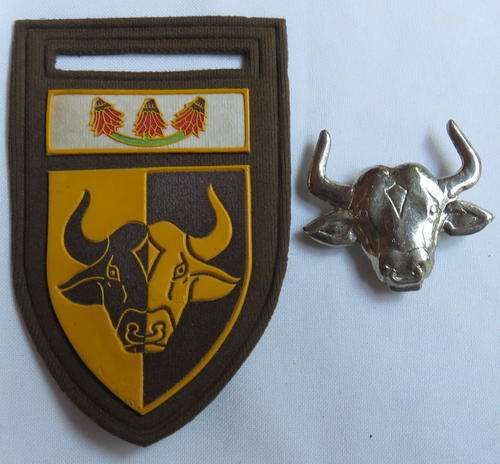 116 BATTALION CHROMED CAP BADGE-SOLD WITH TUPPER FLASH-APPROVED 1986-PINS +LUGS INTACT