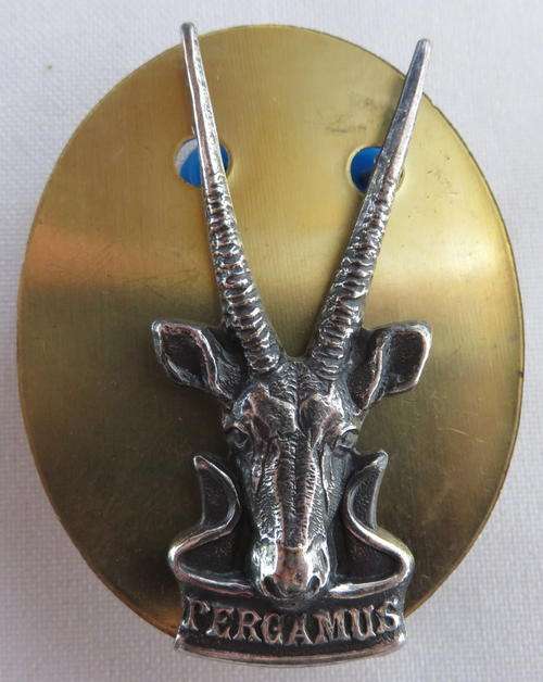 SOUTH WEST AFRICA SERVICES CAP BADGE- 3 PINS