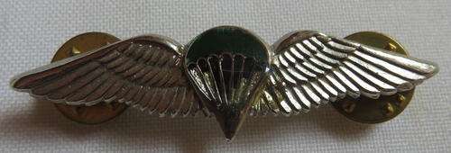 SA PARA FANTASY METAL WING-NIGHT JUMPERS MESS DRESS WING IN CHROME- 2 PINS