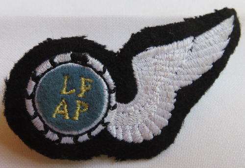 SAAF AIR PHOTOGRAPHER WING- 2 PINS