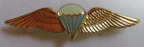 SA PARACHUTE BASIC PARATROOPER WING 8 JUMPS OR MORE-GILDING METAL WITH LUCITE COVERED CENTRE-INTRODU