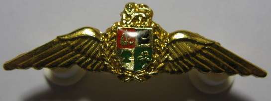 NO. A1730)  S.A. AIRWAYS METAL PILOT WINGS - 2 PINS.