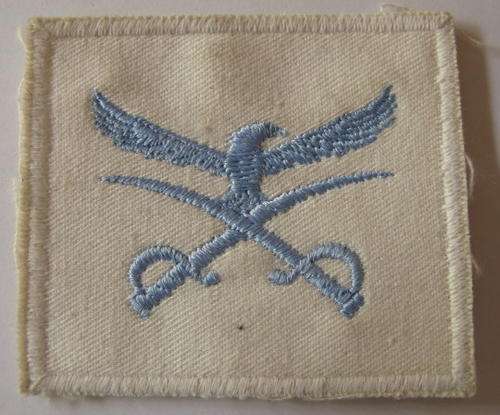 NO. 2108)  S.A.A.F. PT INSTRUCTOR CLOTH TRACK SUIT BADGE.